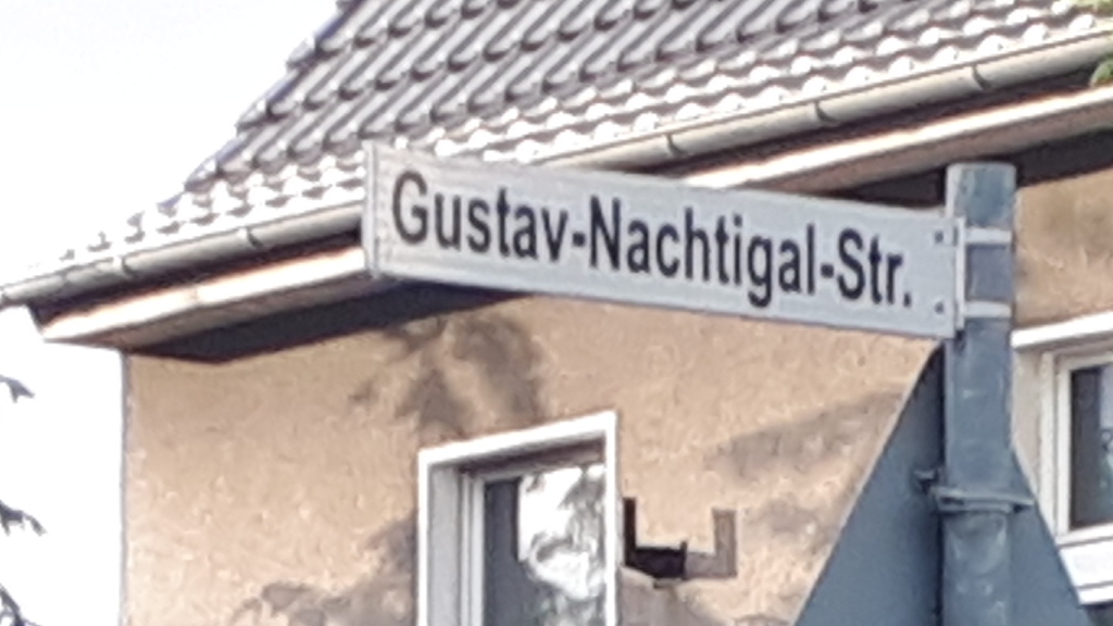 Afrikaveedel / Gustav-Nachtigal-Straße